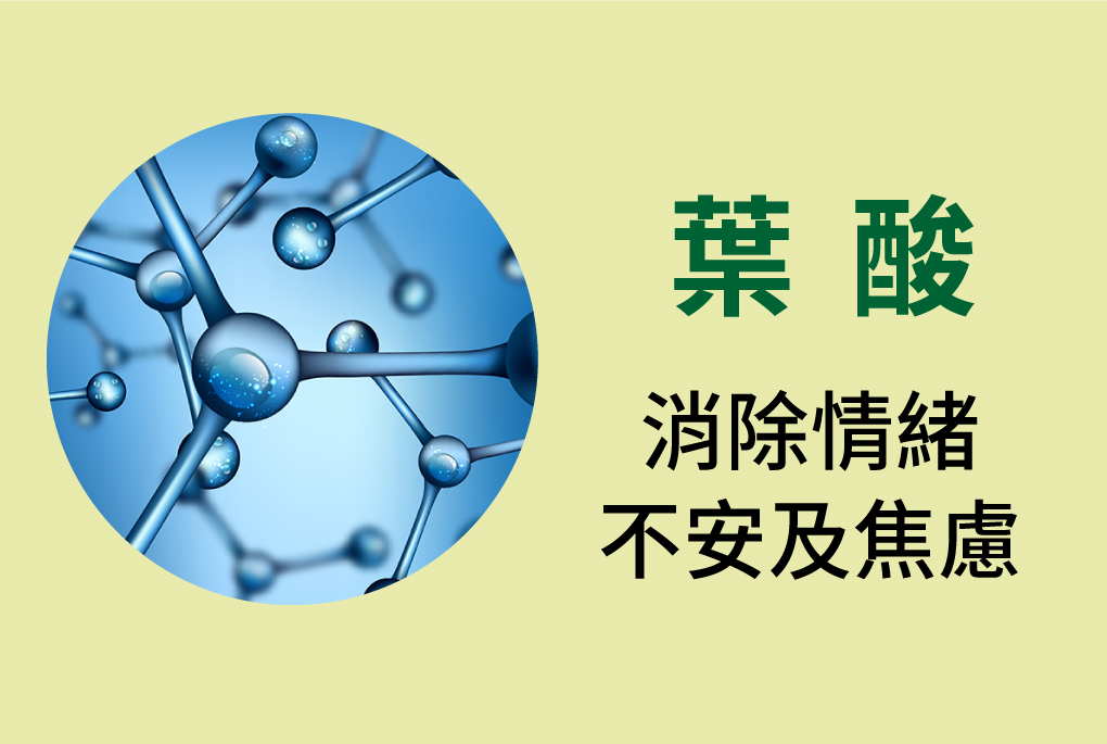 我愛簡單購 IEasyShopping 【達特漢司】疼愛家人綜合維他命補養液
