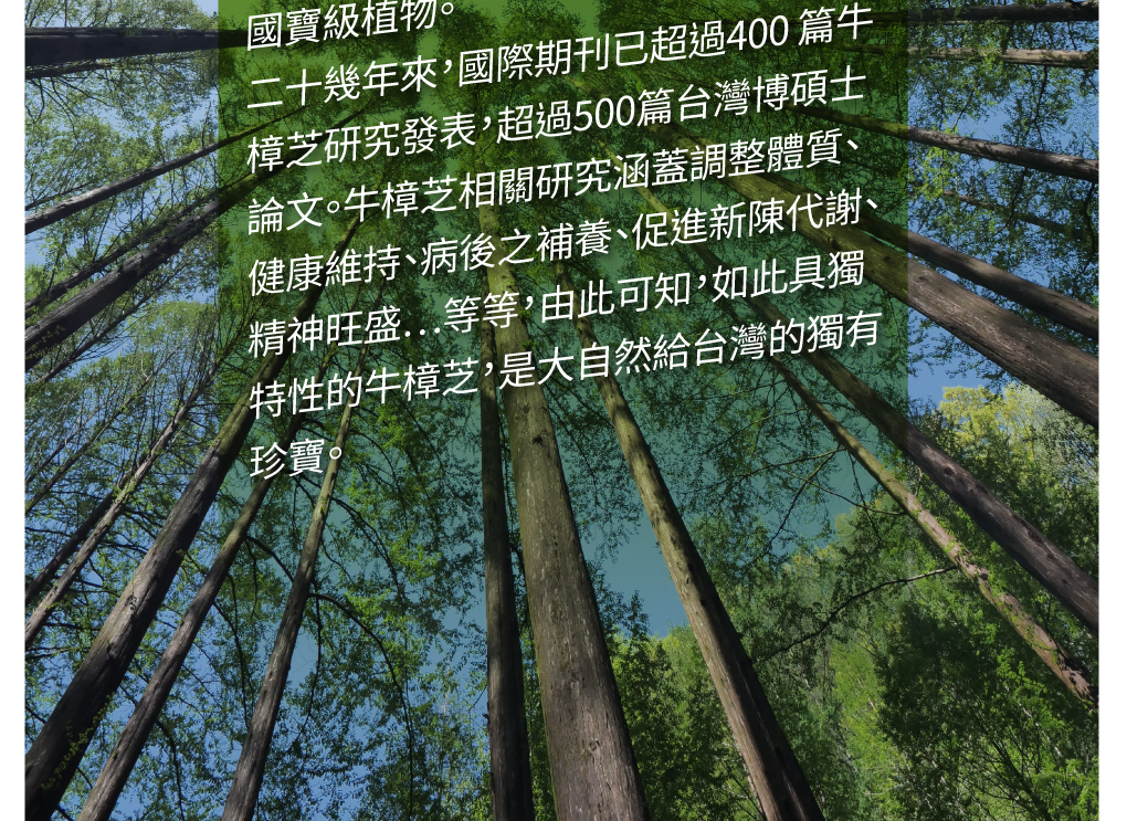 我愛簡單購 IEasyShopping 【歐萃OTREE】增益康牛樟芝菌絲體膠囊(買10送3)