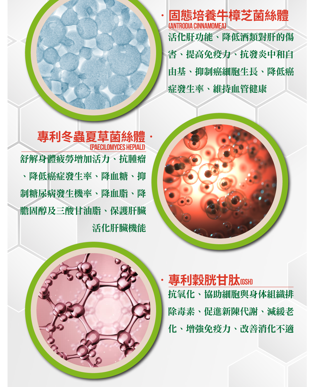 我愛簡單購 IEasyShopping 【歐萃OTREE】增益康牛樟芝菌絲體膠囊(買10送3)