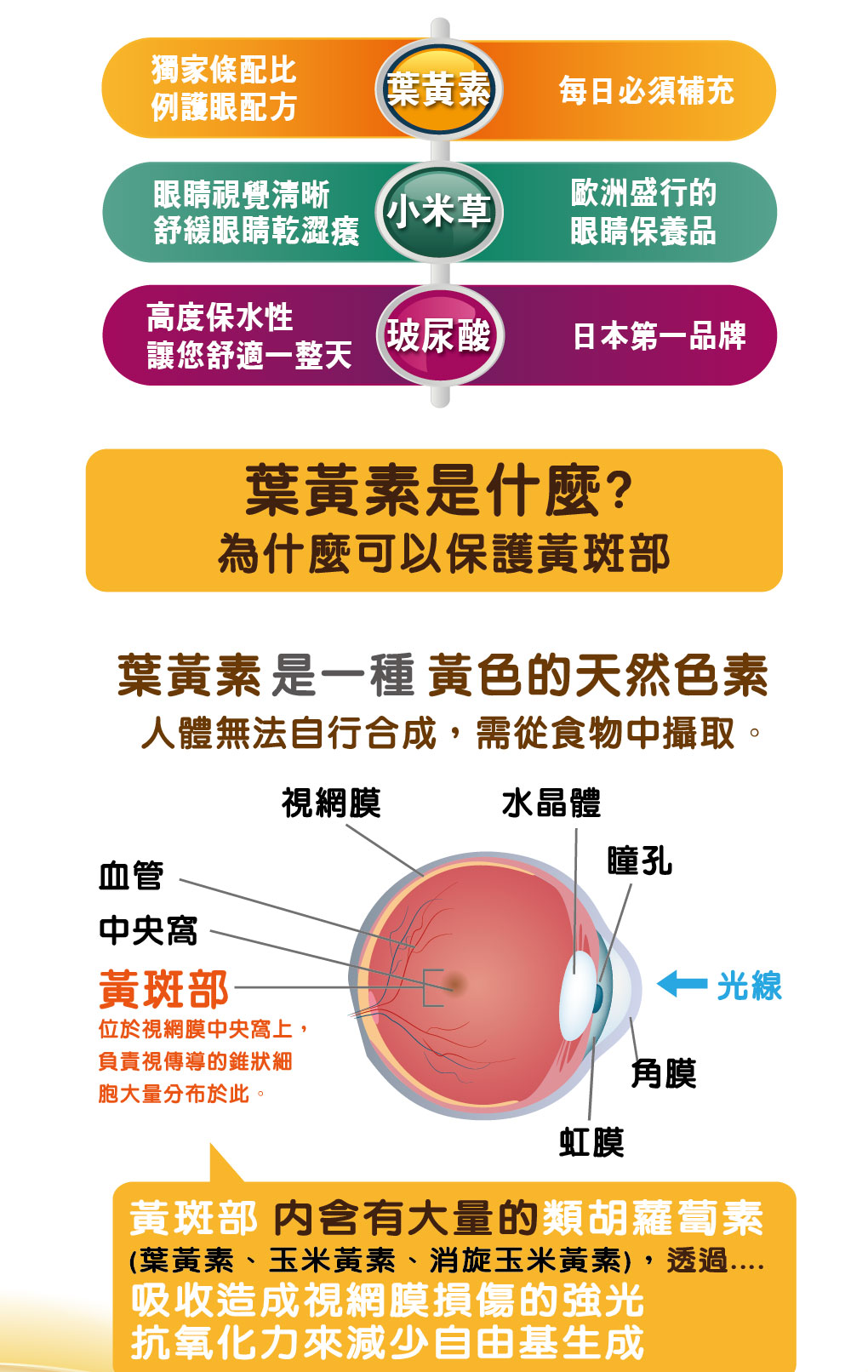 我愛簡單購 IEasyShopping 【達特漢司】速視清葉黃素膠囊(買10送3)